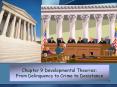 Chapter 9 Developmental Theories: From Delinquency to Crime to Desistance PowerPoint PPT Presentation