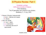 B Physics Review: Part II