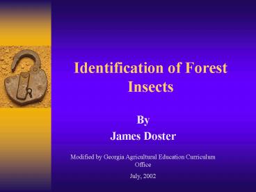 Identification of Forest Insects