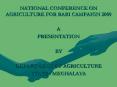 NATIONAL CONFERENCE ON AGRICULTURE FOR RABI CAMPAIGN 2009 PowerPoint PPT Presentation