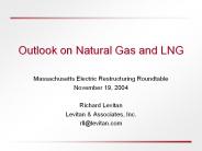 Outlook on Natural Gas and LNG