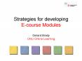 Strategies for developing Ecourse Modules Gerard Brady UNU Online Learning PowerPoint PPT Presentation