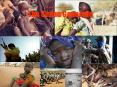 The Sudan Genocide PowerPoint PPT Presentation