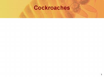 Cockroaches