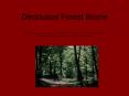 Deciduous Forest Biome PowerPoint PPT Presentation