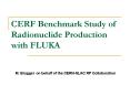 CERF Benchmark Study of Radionuclide Production with FLUKA PowerPoint PPT Presentation