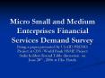 Micro Small and Medium Enterprises Financial Services Demand Survey PowerPoint PPT Presentation