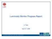 Luminosity Monitor Progress Report