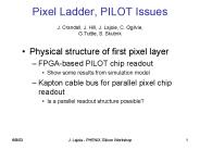 Pixel Ladder, PILOT Issues