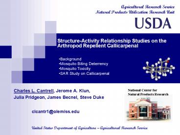 presentation player overlay