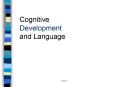 Cognitive Development and Language PowerPoint PPT Presentation