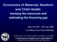 Economics of Maternal, Newborn and Child Health: tracking the resources and estimating the financing PowerPoint PPT Presentation