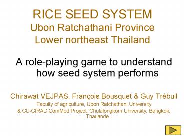 RICE SEED SYSTEM Ubon Ratchathani Province Lower northeast Thailand