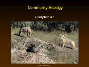 Community Ecology