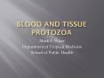 Blood and Tissue Protozoa PowerPoint PPT Presentation