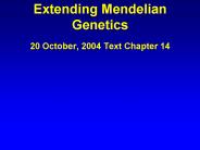 Extending Mendelian Genetics 20 October, 2004 Text Chapter 14