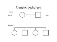 Genetic%20pedigrees