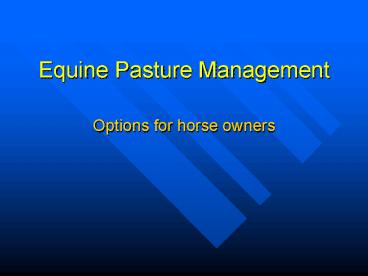 Equine Pasture Management