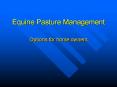 Equine Pasture Management PowerPoint PPT Presentation