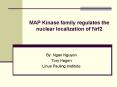 MAP Kinase family regulates the nuclear localization of Nrf2 PowerPoint PPT Presentation