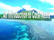An Introduction to Coral Reefs