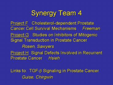 Synergy Team 4