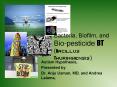 Bacteria, Biofilm, and Biopesticide BT Bacillus Thuringiensis PowerPoint PPT Presentation
