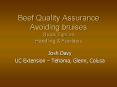 Beef Quality Assurance Avoiding bruises Quick Tips on Handling PowerPoint PPT Presentation