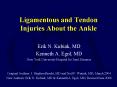 Ligamentous and Tendon Injuries About the Ankle PowerPoint PPT Presentation