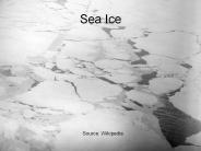 Sea Ice