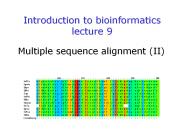 Introduction%20to%20bioinformatics%20lecture%209