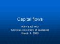 Capital%20flows PowerPoint PPT Presentation
