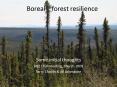 Boreal  forest resilience PowerPoint PPT Presentation