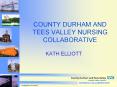 COUNTY DURHAM AND TEES VALLEY NURSING COLLABORATIVE PowerPoint PPT Presentation
