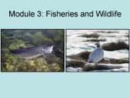 Module 3: Fisheries and Wildlife
