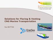 Solutions for Flaring