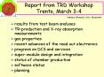 Report from TRD Workshop Trento, March 3-4 PowerPoint PPT Presentation