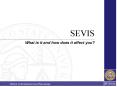 SEVIS PowerPoint PPT Presentation