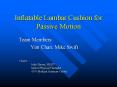 Inflatable Lumbar Cushion for Passive Motion PowerPoint PPT Presentation