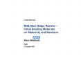 NHS Next Steps Review Initial Briefing Materials on Maternity and Newborn PowerPoint PPT Presentation