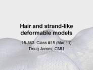 Hair and strand-like deformable models