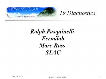 Snowmass T9 Diagnostics Group Summary