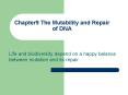 Chapter9 The Mutability and Repair of DNA PowerPoint PPT Presentation