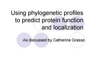 Using phylogenetic profiles to predict protein function and localization