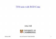 TIM tests with ROD Crate