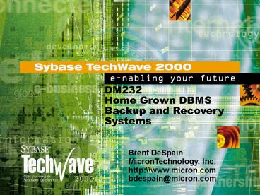 DM232 Home Grown DBMS Backup and Recovery Systems