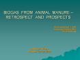 BIOGAS FROM ANIMAL MANURE  PowerPoint PPT Presentation