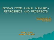 BIOGAS FROM ANIMAL MANURE 