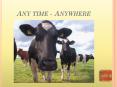 Any time - Anywhere PowerPoint PPT Presentation