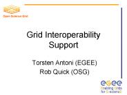 Grid Interoperability Support